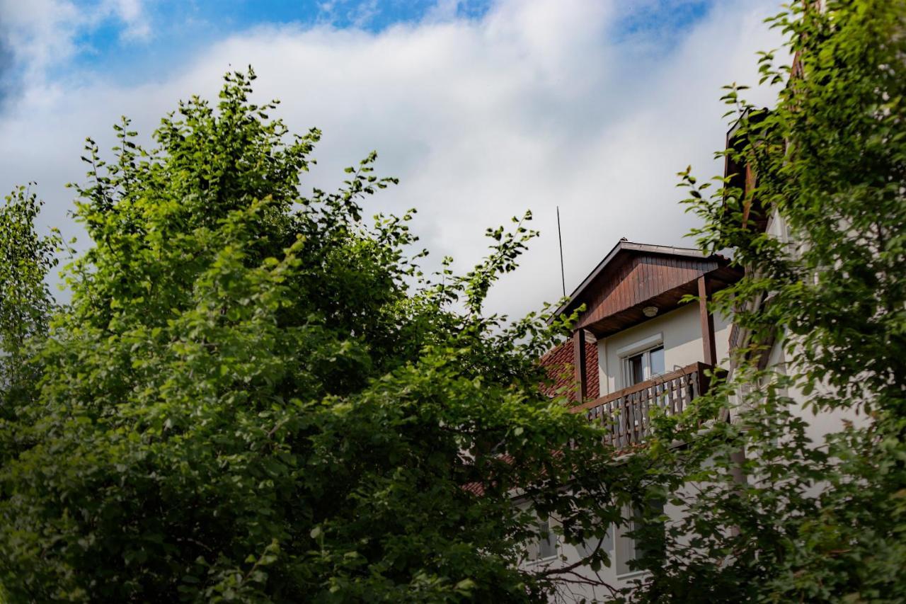 Bed and Breakfast Alabastrom Panzio Es Etterem Богач Екстер'єр фото