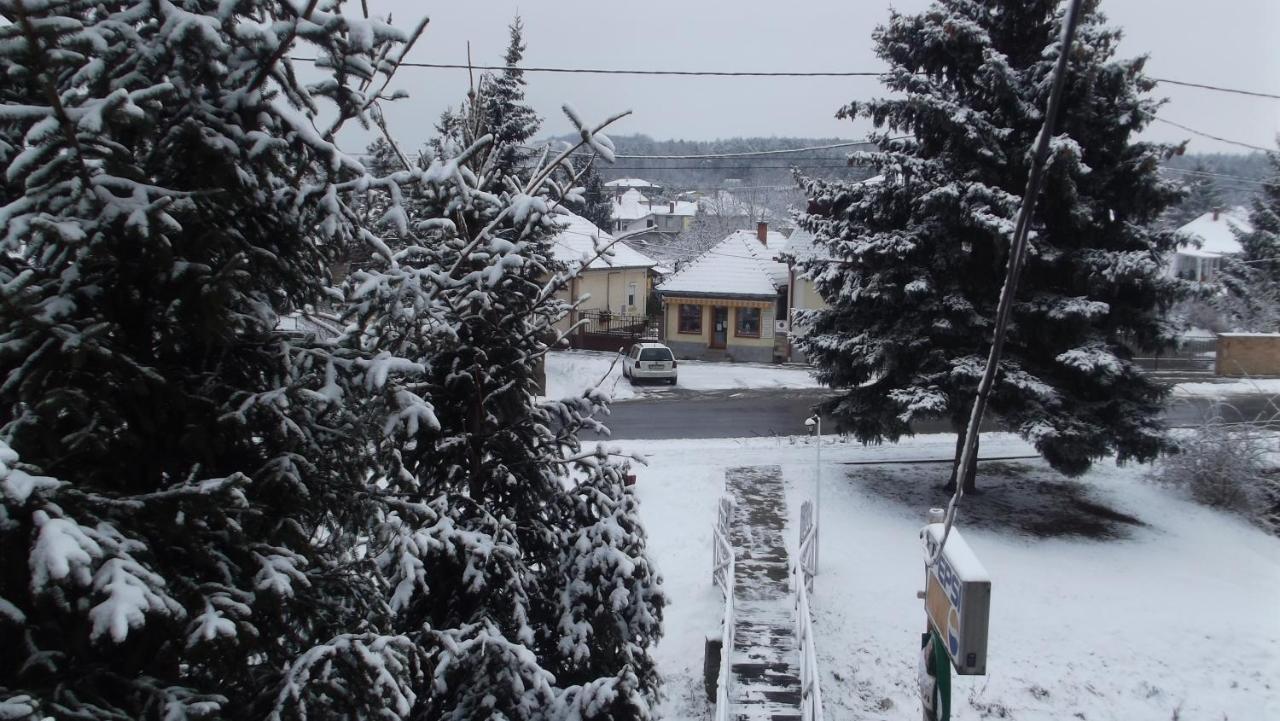 Bed and Breakfast Alabastrom Panzio Es Etterem Богач Екстер'єр фото